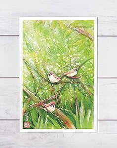  yVLO5ʓ OH̐ ( t  XY ؘR s ʉ i )XIWiy fC[LO 5ʓ z