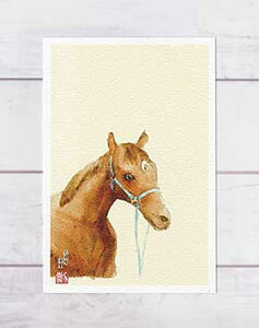 O [ ΋nEΐ_ ] ( n O z ͗l ΐ_ s ʉ  O[eBOJ[h ) XIWi