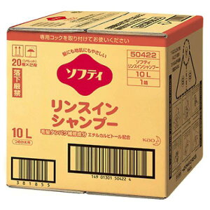 \teB XCVv[ 10L {ݗp e