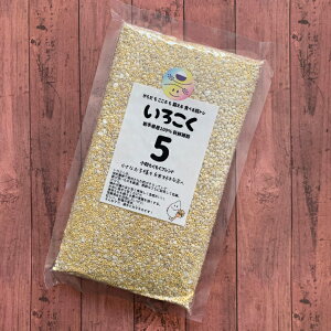 G 5ԏuh 300gY G 茧Y 唞   Ђ ͂Ɣ ނ  ngM  uh u N q  VjA NHi v[g 