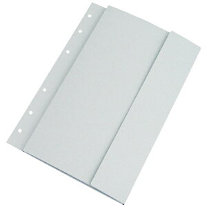 SAKURAI GRfBAt@C | A4 6 CD DVD ی ۊ [i [ n[hP[XΉ [10mm 5pbN EMFA4W^EMFA4G