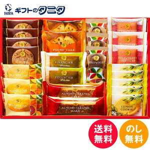 ЂƂƂ XC[ct@Ng[ 24 SFC-25  ˓ IW }h[k Xgx[ VR sX^`I tBiVF uEj[ uEVK[ A[h L 