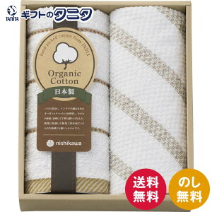 nishikawa VnI[KjbN EHbV^I2P TT83103505   _ 100% I[KjbNRbg { Mtg j j  Cj 䋟 e{ TԂ ފ  