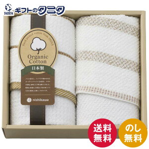 nishikawa VnI[KjbN tFCX^I2P TT83203505   _ 100% I[KjbNRbg { Mtg j j  Cj 䋟 e{ TԂ ފ  