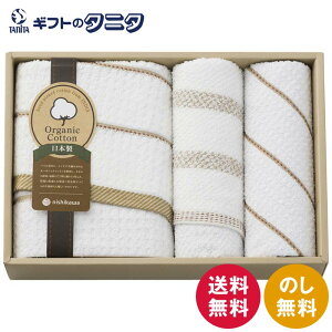 nishikawa VnI[KjbN ^IZbg TT83403505   oX tFCX EHbV ^I _ 100% I[KjbNRbg { Mtg j j  Cj 䋟 e{ 