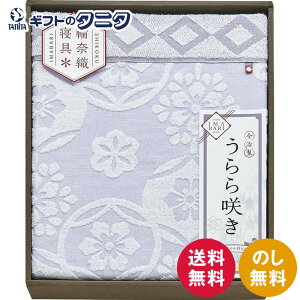  炫 ^IPbg ITU66080  { 100% ^I ֓ސD Mtg j j  Cj 䋟 e{ TԂ ފ   Ε N ̓ ̓ 