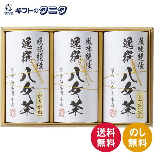 ܕzt{X l YTS-06   Β   肪˒  Mtg j j  Cj 䋟 e{ TԂ ފ   Ε N ̓ 