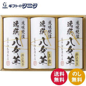 ܕzt{X l YTS-08   Β ʘI   Mtg j j  Cj 䋟 e{ TԂ ފ   Ε N ̓ ̓ h