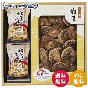 {̔EafރX[vl MSC-30  啪Y  ő  ݂` B킹݂ Mtg j j  Cj 䋟 e{ TԂ ފ   