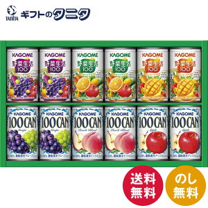 JS ₩t@~[Mtg KSR-15P  ؐ100 IWi x[T_ }S[T_ 100CAN Abv s[`uh O[v Mtg j j  Cj 䋟 e{ 