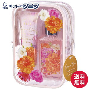 fCYCu[ |[`CnhPAZbg 12236001  ~jnh\[v nh&lCN[ ԕ gу|[` [Y̍ v[g j 