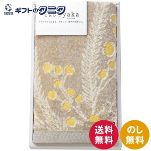 Taoyaka ~U tFCX^I TAO-11Y  100% ^I O[x[W { Mtg j j  Cj 䋟 e{ TԂ ފ   Ε N ̓ 