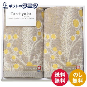 Taoyaka ~U tFCX^I2P TAO-21Y  100% ^I O[x[W { Mtg j j  Cj 䋟 e{ TԂ ފ   Ε N ̓ 