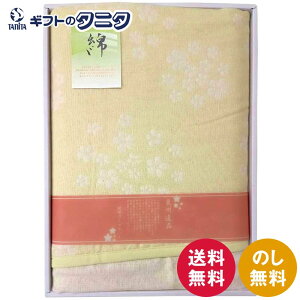 Bi ܏dDK[[Pbg GK-2312  { 100% `̋Z Mtg ފ j Cj  䋟 e{ TԂ   Ε N ̓ ̓ hV̓