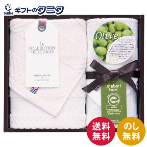 i`ACh I[uXNuII ^IZbg TNI1503011  tFCX^I nh^I 100% Y { GR}[N Mtg ފ j Cj  䋟 e{ T