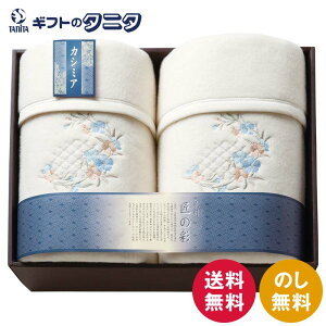 B̍ JV~E[ȖѕziщHj2P SHW-24051C  { E[ JV~  |GXe Mtg j j  Cj 䋟 e{ TԂ ފ  