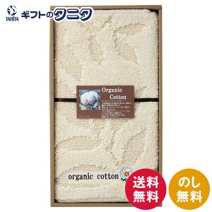 I[KjbNRbg oX}bg 95605  { 100% _sgp w엿sgp ʂׂɂH C Mtg j j  Cj 䋟 e{ TԂ ފ  