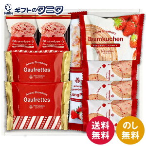 ܂䕃oEN[w&v`Kg[ Mtg{bNX FAS-10  oEN[w OXeBbNpC S[tbg C`SNbL[ Xgx[`RN` Mtg j j 