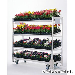 {G쏊@؉׃J[S@KC-01S