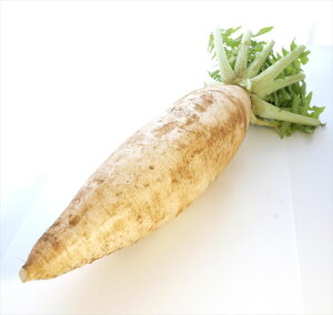 �O�Y�卪�@1�{