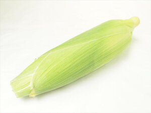 Ƃ낱@1{