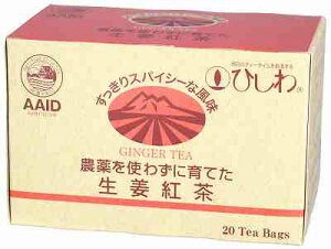 冬季限定 ひしわ 農薬を使わずに育てた生姜紅茶ティーバッグ 40g(20パック)