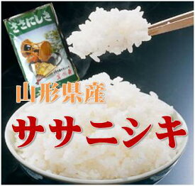 令和7年産山形県産ササニシキ 白米 5kg