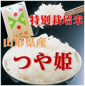 令和5年山形県河北町産 つや姫玄米 30kg 【送料無料】(沖縄、離島は別途2000円加算)