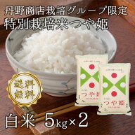 令和7年山形県河北町産 つや姫 白米 10kg（5kgx2）