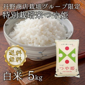 楽天市場 米 10kg 00 円の通販