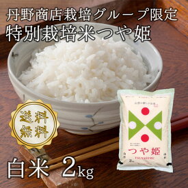 令和5年山形県河北町産 つや姫 白米 2kg【送料無料】(沖縄、離島は別途2000円加算)