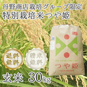 ߘa7NR`͖kY P1 30kg