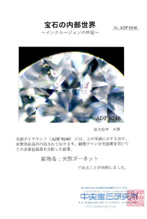 楽天市場】ガーネット結晶入りダイヤモンド ルース 0.500ct, I, SI-2  