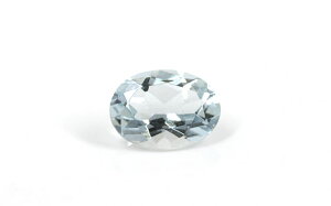 ANA} [X 0.696ct, I[oEJbg y 71̒a/3a΁z ( //Β/AN} )@{ΉȊw