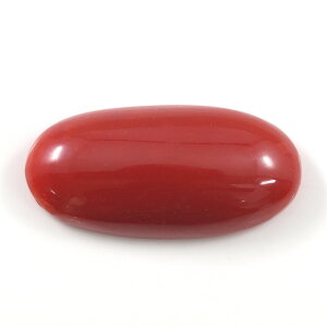 TS [X () 6.904ct@I[oJ{VJbg ( ԎX  bhER[ coral )@{ΉȊw\[eBO 55 1115 a 3 a 