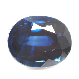 u[ETt@C [X() 0.731ct, ( u[Tt@C/u[ETt@CA/R_//| ) y {ΉȊw zy  z