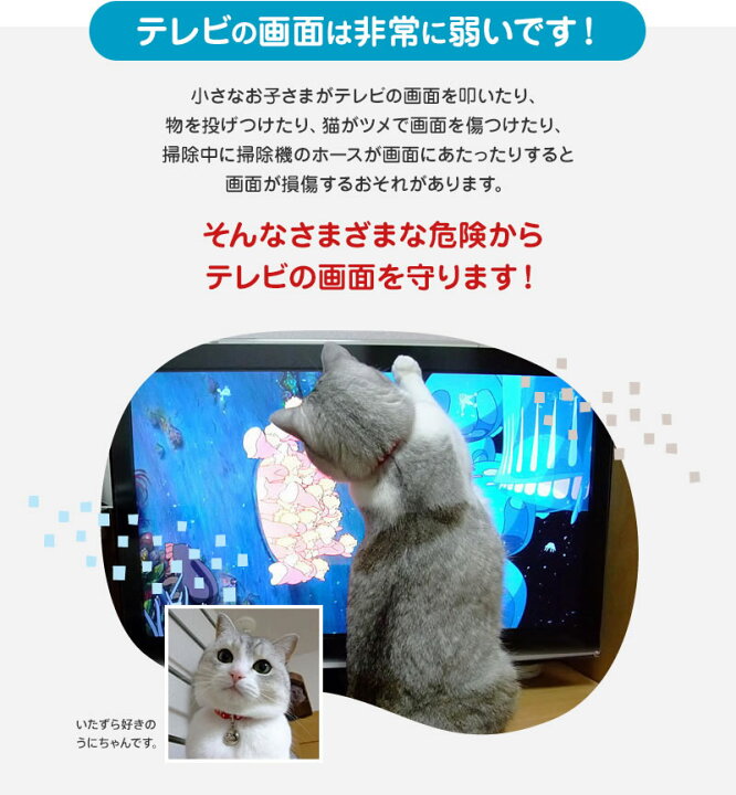 楽天市場】アンチグレア ブルーライトカット 液晶テレビ保護パネル 65 