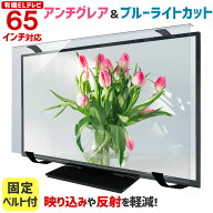 【ポイント10倍&クーポン★6/4 20時〜6/11 01:59】アンチグレア ブルーライトカット 有機ELテレビ保護パ…