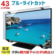 ブルーライトカット 液晶テレビ保護パネル 43インチ 43型 固定ベルト付【2mm厚】【カット率44.73％】【液…