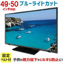 ブルーライトカット 液晶テレビ保護パネル 49・50型(49・50インチ) 固定ベルト付【3mm厚】【カット率44.73%】【液晶テレビ 保護パネル 液晶保護パ...