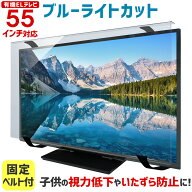 【ポイント10倍&クーポン★6/4 20時〜6/11 01:59】有機ELテレビ保護パネル ブルーライトカット 55インチ …