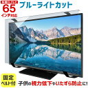 【全品ポイント10倍★3/4 20時〜3/11 01:59】有機ELテレビ保護パネル ブルーライトカット 65インチ 65型 固定ベルト付…