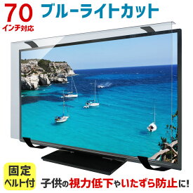 ブルーライトカット 液晶テレビ保護パネル 70インチ 70型 固定ベルト付【3mm厚】【カット率44.73％】【液晶テレビ 保護パネル 保護フィルム 液晶保護パネル テレビ 保護 テレビカバー テレビガード】 70MBL5