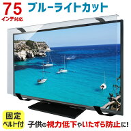 【エントリーでポイント10倍★9/19 20時〜9/24 01:59】ブルーライトカット 液晶テレビ保護パネル 75イン…