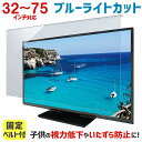 【10%OFFクーポン★7/4 20時〜7/11 01:59】ブルーライトカット 液晶テレビ保護パネル 32〜75インチ 32〜75型 固定ベル…