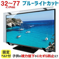 【ポイント10倍★3/18 09:59まで】ブルーライトカット 液晶テレビ保護パネル 32〜77インチ 32〜77型 固定…