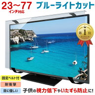 【全品5%OFFクーポン★10/13 09:59まで】ブルーライトカット 液晶テレビ保護パネル 23〜77インチ 23〜77…