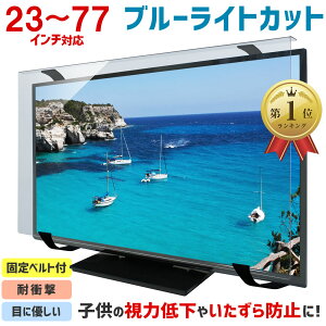 【全品5%OFFクーポン★10/13 09:59まで】ブルーライトカット 液晶テレビ保護パネル 23〜77インチ 23〜