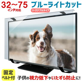 【ポイント10倍★3/18 09:59まで】ブルーライトカット 液晶テレビ保護パネル 32〜77インチ 32〜77型 固定ベルト付【3mm厚】【カット率47.9％】【液晶テレビ 保護パネル 保護フィルム 液晶保護パネル テレビ 保護 テレビカバー テレビガード】