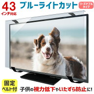 【10％ポイントバック★4/20 09:59まで！】ブルーライトカット 液晶テレビ保護パネル 43インチ 43型 固定…